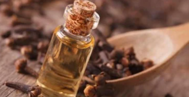 زيت القرنفل وفوائده الصحية المذهلة للجسم والقلب