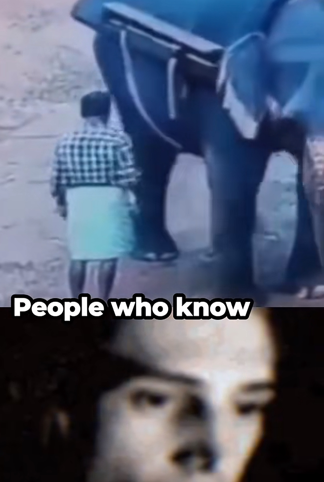 “اللقطات التي حيّرت الجميع: ماذا حدث خلف الكواليس في الفيديو الغامض لرجل يقف خلف فيل ضخم؟!”