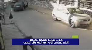 لحظة مهاجمة كلاب سائبة لتلميذة أثناء ذهابها إلى المدرسة في النجف