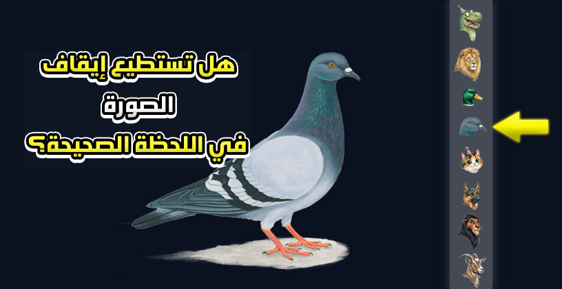 تحدّي الحمامة المتحولة… هل تستطيع إيقاف الصورة في اللحظة الصحيحة؟