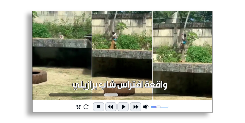 تفاصيل واقعة افتراس شاب برازيلي داخل حديقة الحيوان في جواو بيسوا
