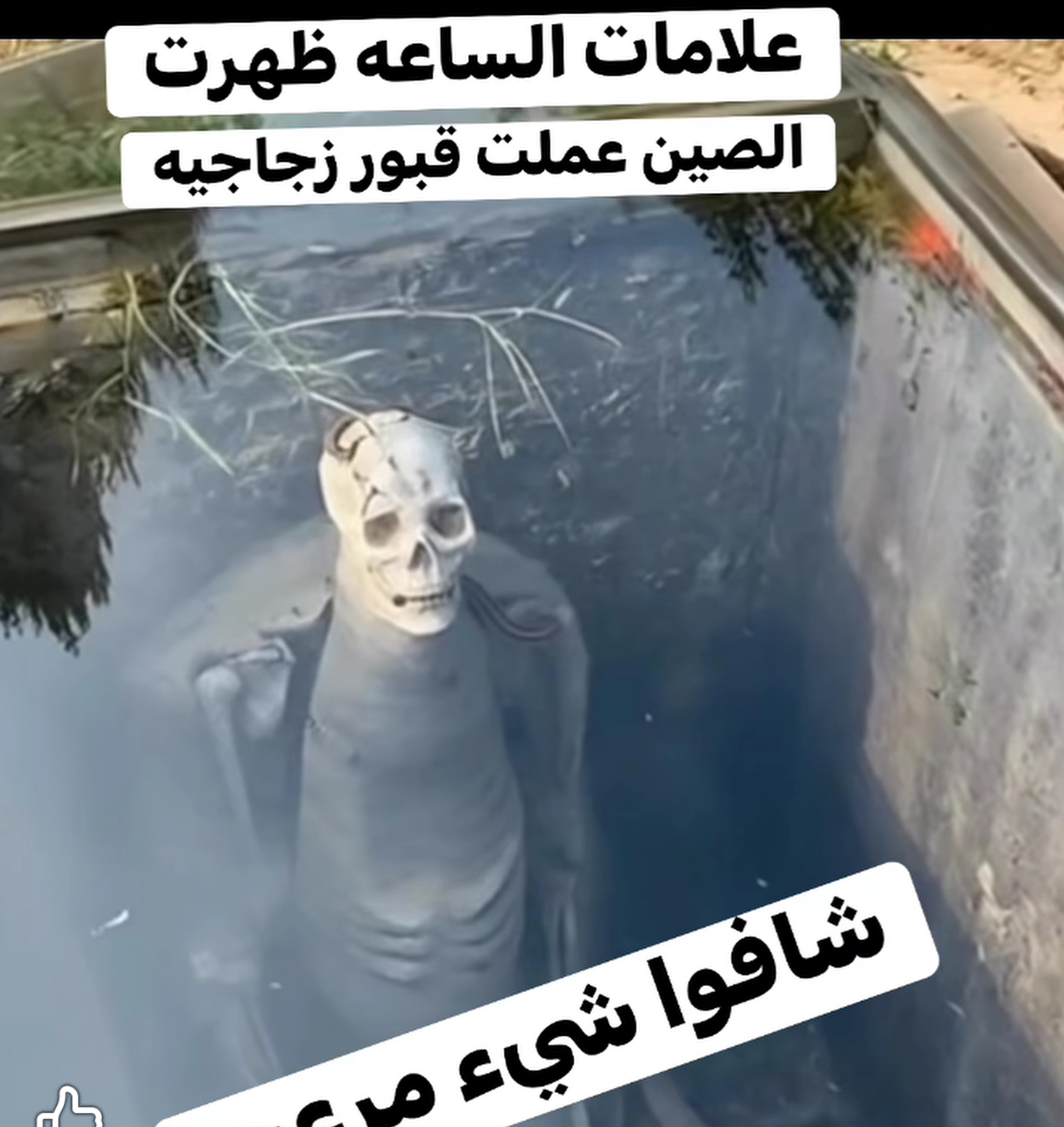 “ابتكار صيني يثير الجدل: القبور الزجاجية التي تسمح للناس برؤية الجثامين… ومشهد تعبان حول إحدى الجثث يصنع لحظة رعب مفاجئة للزائرين”
