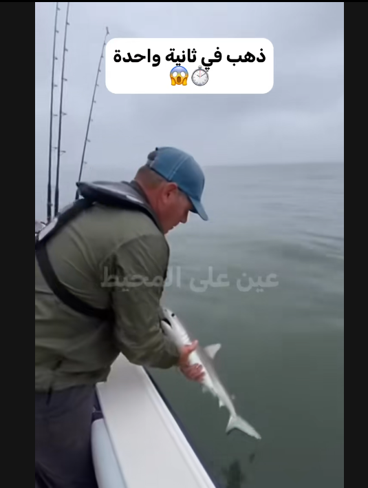 فيديو «صياد يضع طُعم ويختفي فجأة في البحر».. لماذا من المرجّح أن يكون مزيفاً بالذكاء الاصطناعي؟