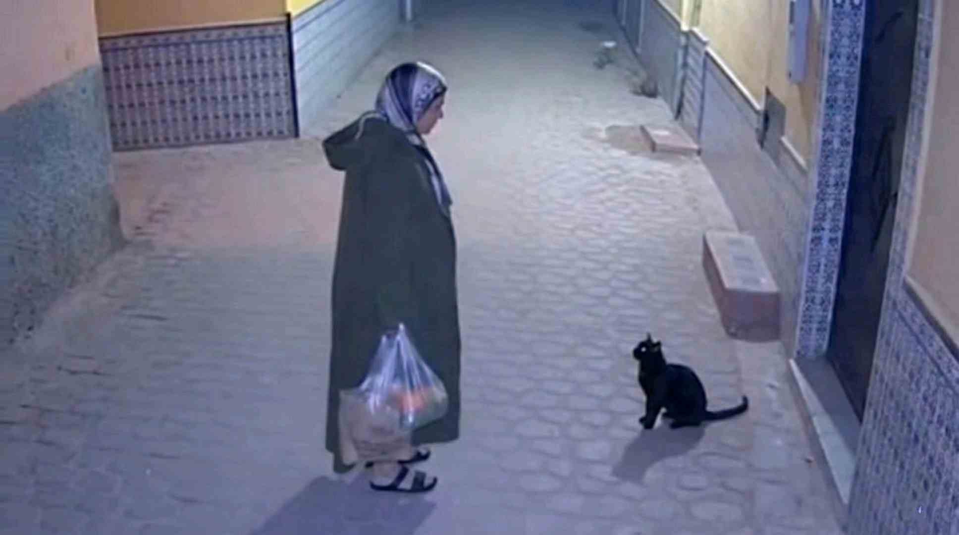 الجزاء لا يتأخر… لكنه يأتي في صمت