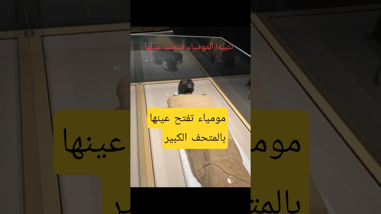 مشهد مؤثر قرب الكعبة.. قارئ قرآن بصوت مميز داخل صالون حلاقة يلفت الأنظار