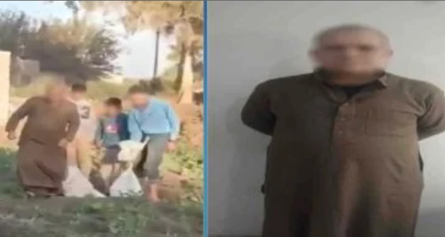 عقوبة الاعتداء على الحيوانات بعد واقعة كلاب الغربية