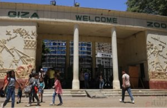 تطوير حديقة الحيوان ينطلق نحو العالمية بثلاث اعتمادات كبرى