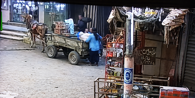 فيديو متداول يثير الجدل: اتهامات بسرقة وإلقاء “شيكارة” داخل مصرف بالغربية.. ومطالب بالتحقق والتحرك