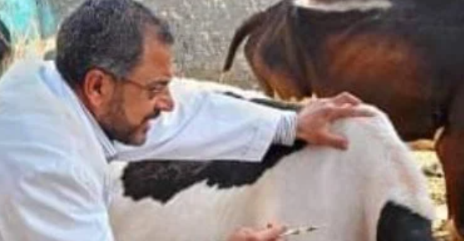 البروسيلا العدو الخفي في الحليب.. طرق الوقاية منه