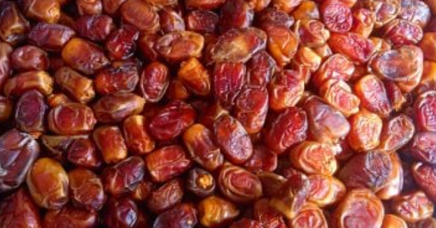 هل الصيام يوقف عمل الدماغ؟ حقائق علمية مهمة