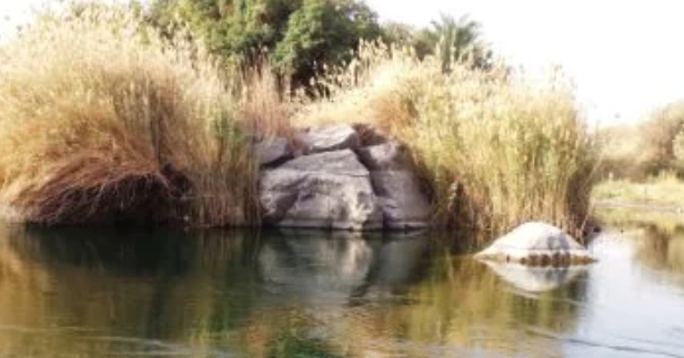 ميكنة الخدمات البيئية في مصر لتسريع الاستثمار