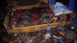 واقعة صادمة تهز مصر.. التحقيق في اتهام أم باحتجاز ابنتها لسنوات
