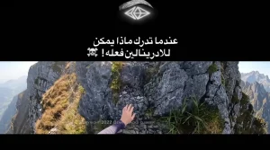 كابوس الغابات 2026: لماذا ارتفعت هجمات الدببة بشكل قياسي؟