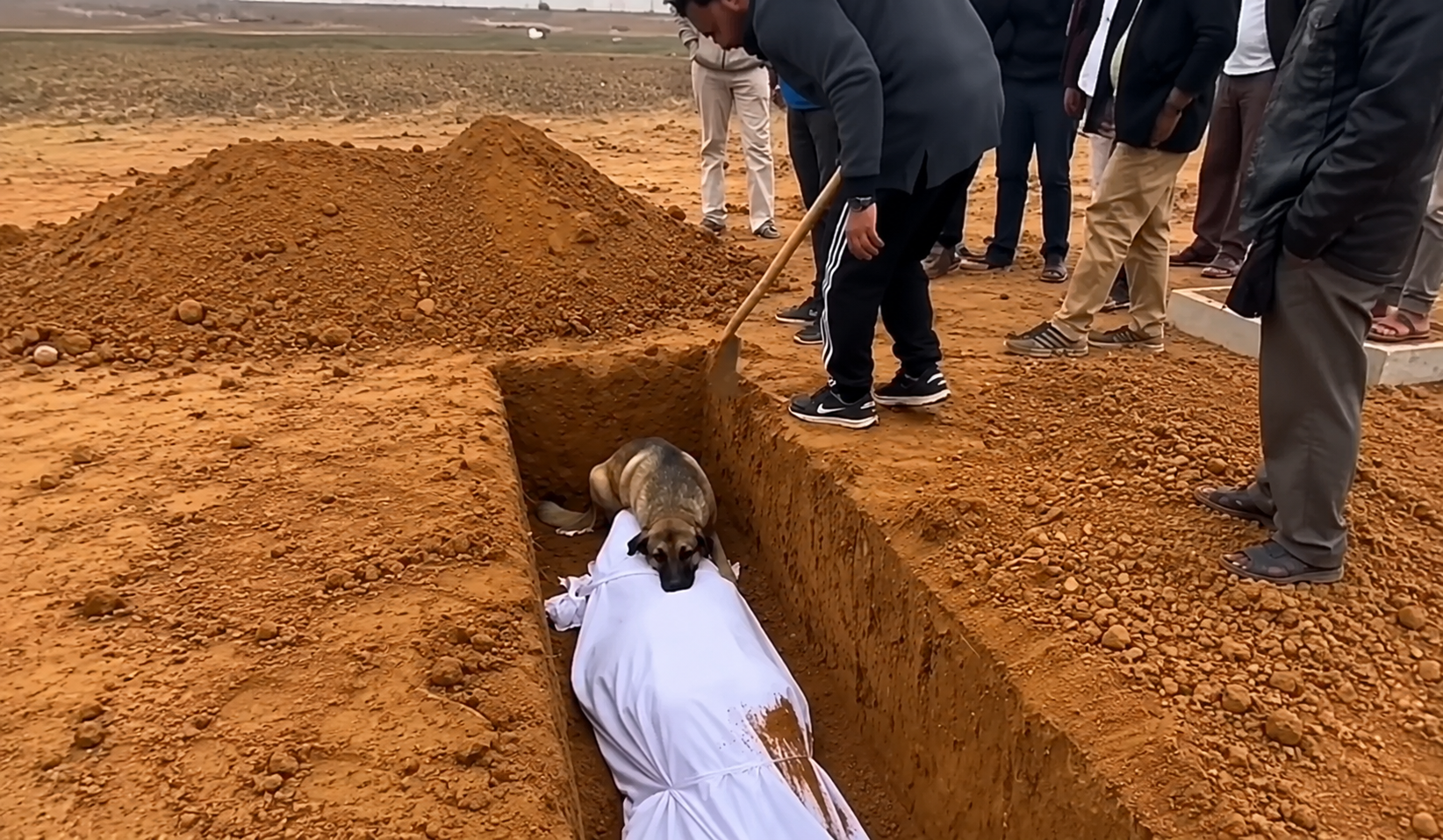 فيديو كلب يرفض الابتعاد عن قبر صاحبه يثير تفاعلًا واسعًا.. مشهد مؤثر يشعل مواقع التواصل