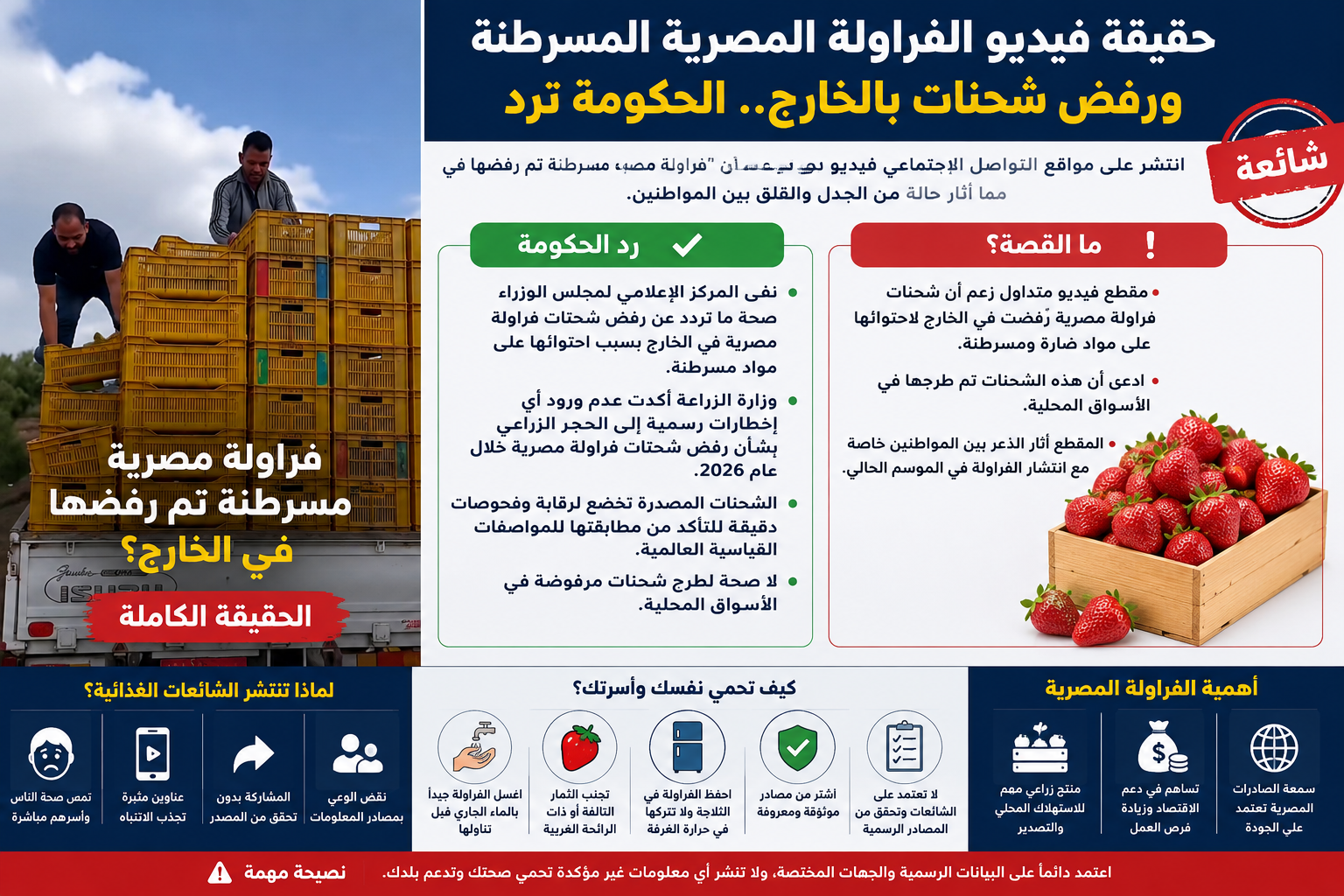 حقيقة فيديو الفراولة المصرية المسرطنة ورفض شحنات بالخارج.. الحكومة ترد وتحذيرات للمستهلكين