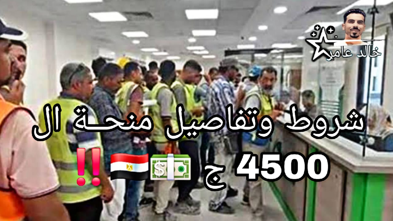 منحة العمالة غير المنتظمة 2026: الشروط، المواعيد، وخطوات التسجيل والاستعلام