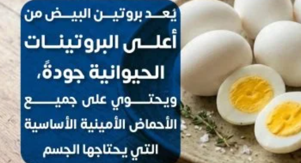 البيض بروتين كامل يدعم العضلات وصحة الجسم