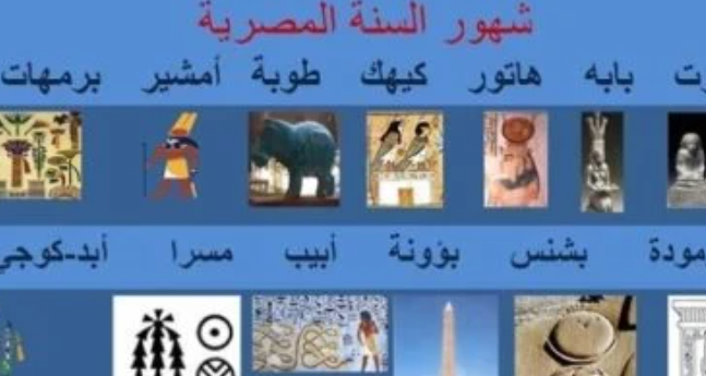 بشنس يكنس الغيط.. سر المثل الشعبي الشهير
