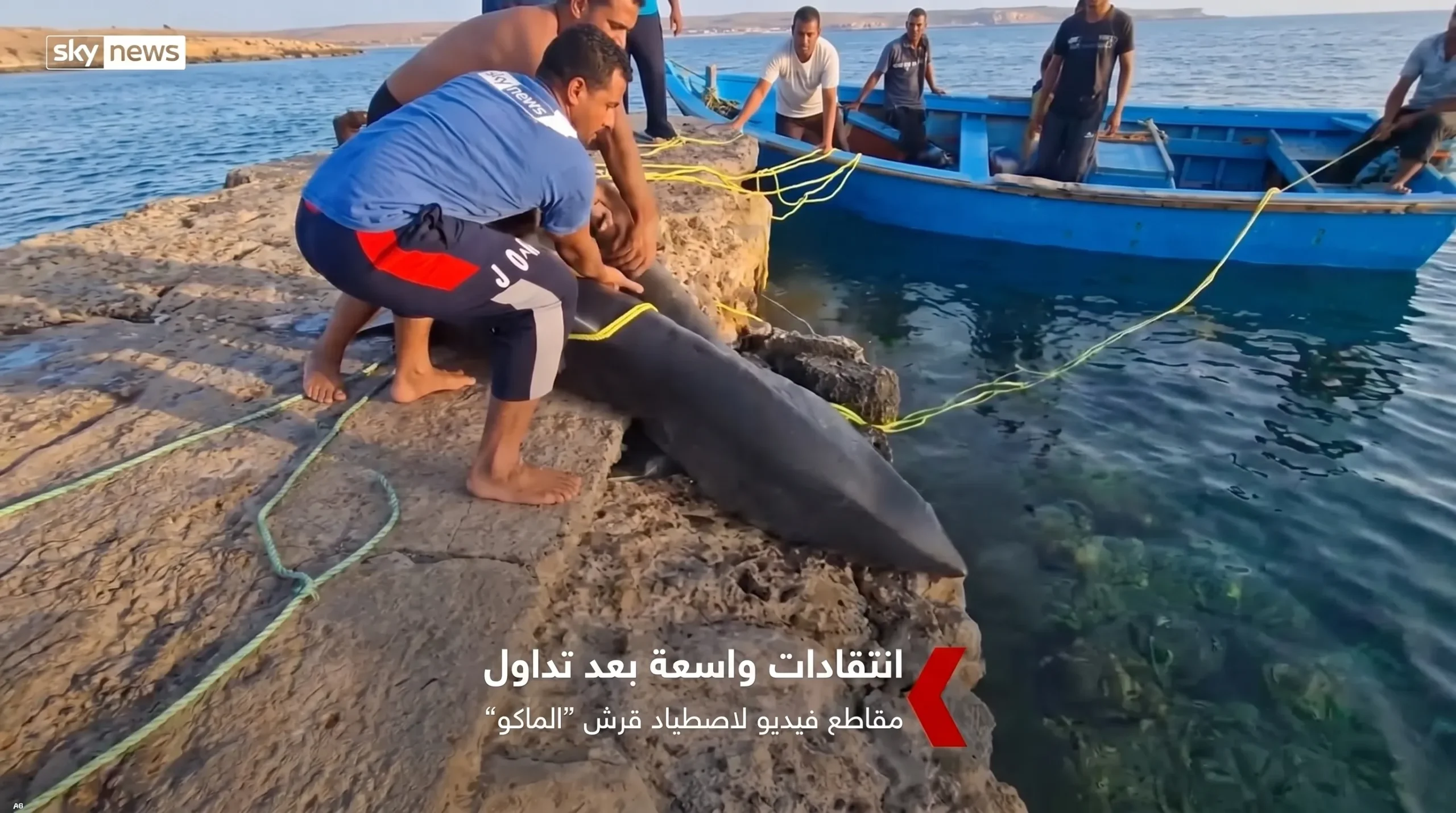 أسرع مفترس في قبضة الهواة تفاصيل واقعة قرش الماكو بالقصير