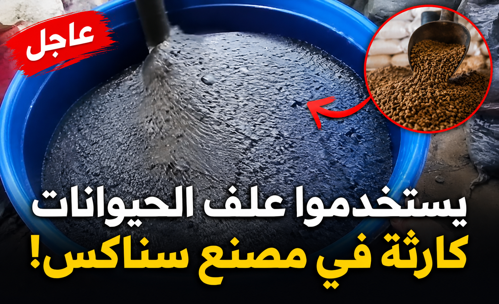 تحذيرات من استخدام أعلاف غير مخصصة في مصانع السناكس بعد تداول مقطع يثير الجدل