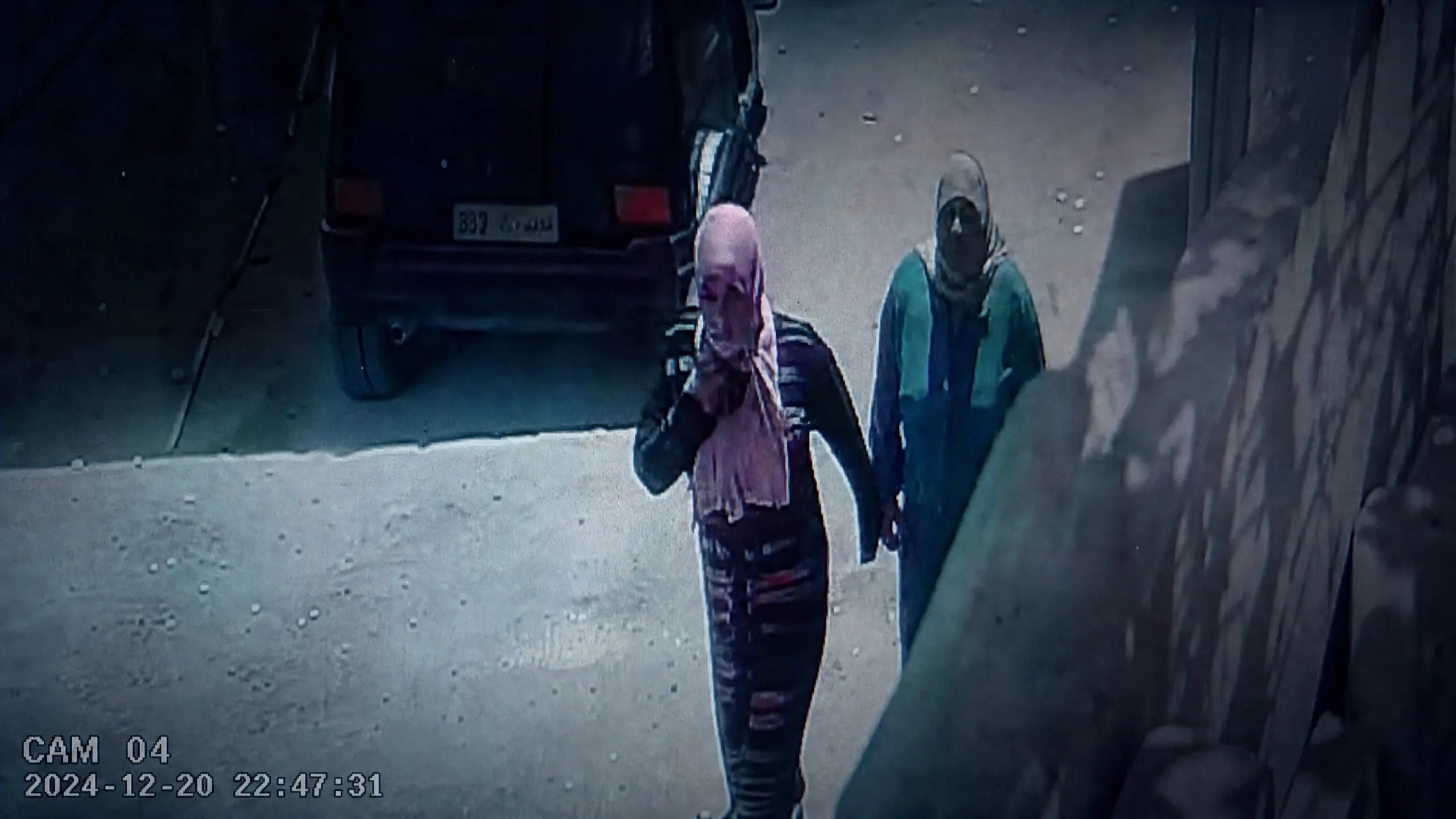 ريا وسكينة العصر الحديث تفاصيل جريمة هزت عزبة محسن بالعوايد