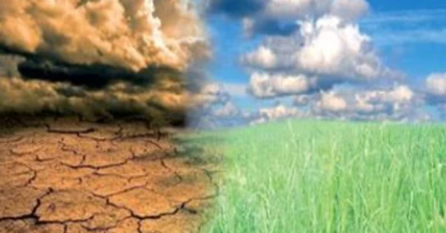 تقرير المناخ في مصر.. 10 معلومات تعزز الاستثمار الأخضر