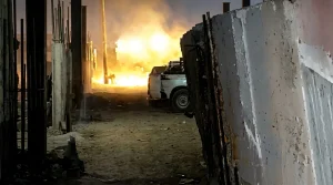 رعب في المنوفية هجوم حيوان مسعور على الاهالي