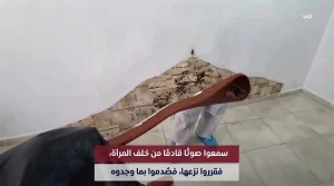 مشهد يثير الرعب والاشمئزاز.. اكتشاف عش صراصير خلف المرآة