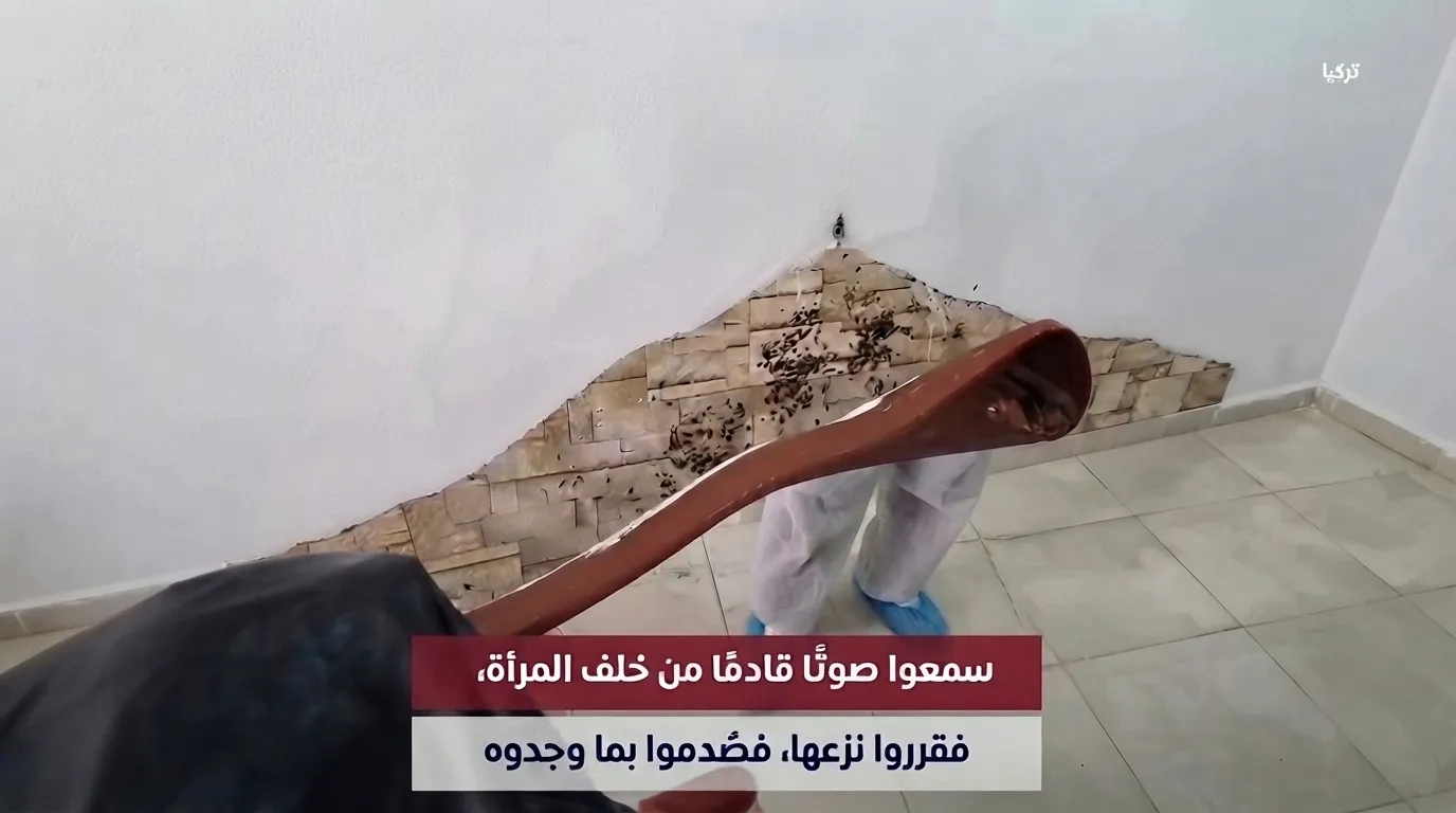 مشهد يثير الرعب والاشمئزاز.. اكتشاف عش صراصير خلف المرآة