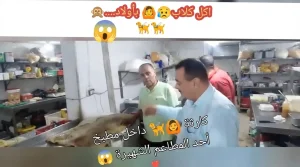 ضبط كميات من اللحوم الفاسدة في اشهر مطاعم دمياط