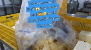 صادمة ضبط مصنع لإنتاج زبدة وجبن غير صالحة للاستهلاك الآدمي
