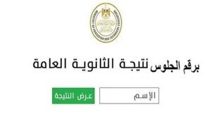 ملف Excel نتيجة الثانوية العامة 2026.. الدرجات كاملة بعد اعتماد النتيجة رسميًا