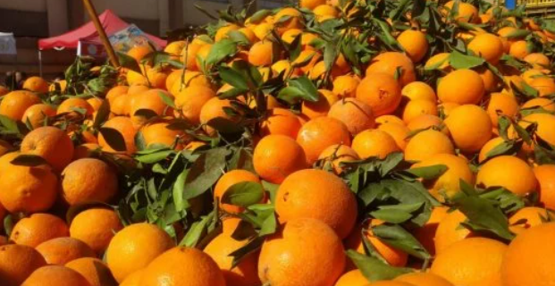 5 فواكه لزيادة الطاقة والتغلب على الخمول خلال اليوم