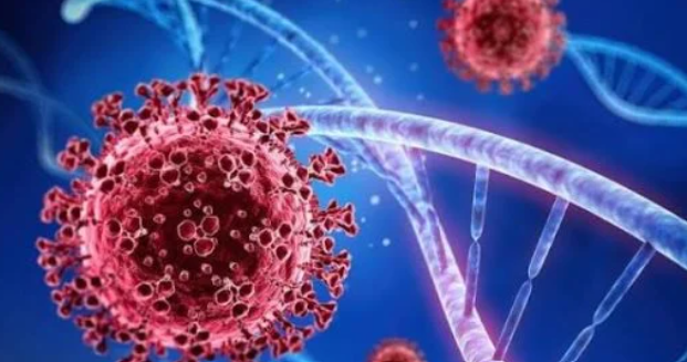فيروس شاموندا.. 8 معلومات عن أول إصابة بشرية بفرنسا